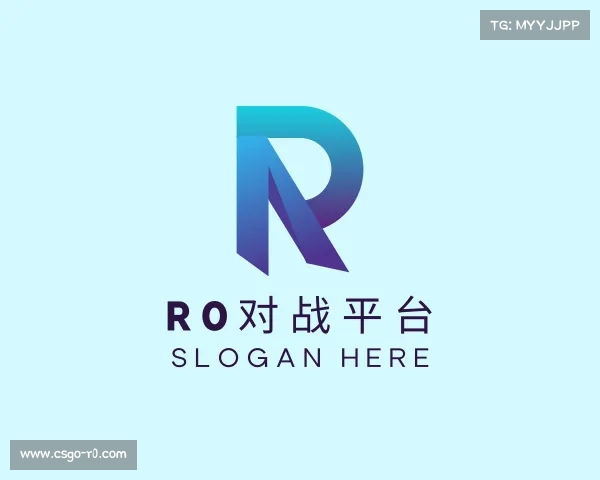 了解r0对战平台